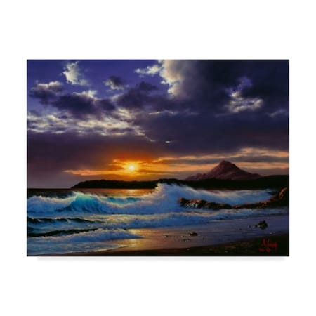 Trademark Fine Art Anthony Casay 'Coast Line 5' Canvas Art, 14x19 ALI20279-C1419GG